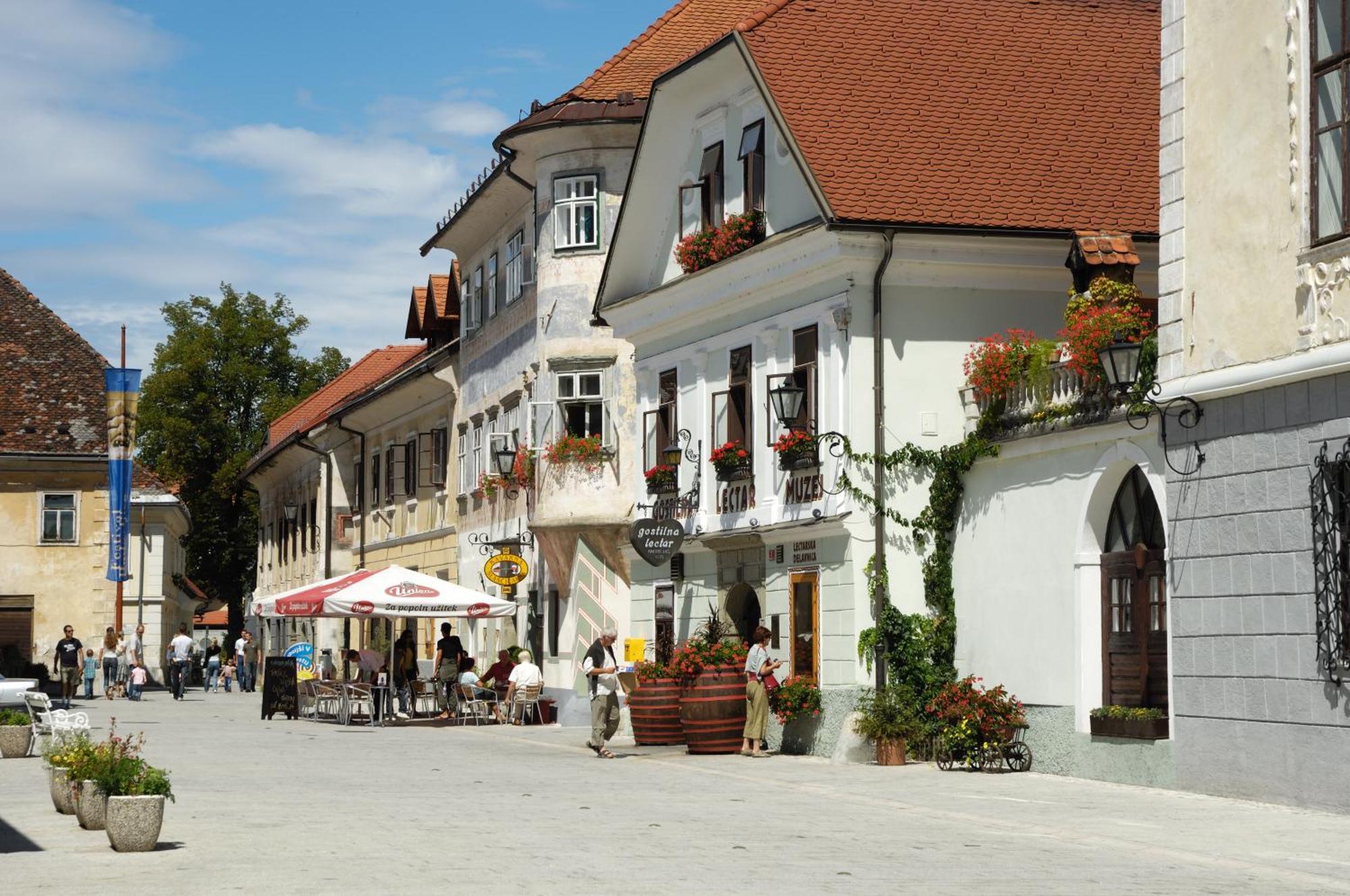 Pension Lectar Radovljica Bagian luar foto