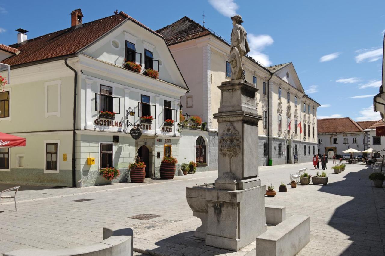 Pension Lectar Radovljica Bagian luar foto